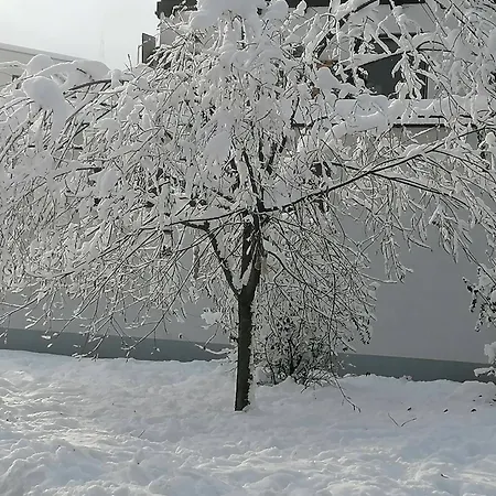 Mireille Appartamento