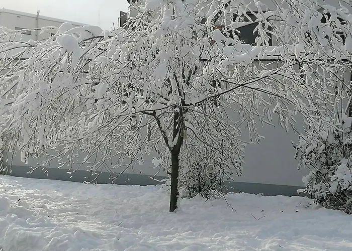 Mireille Appartement